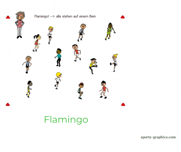 flamingo neu(1) Laufspiel für den Sportunterricht. Flamingo.