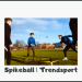 Spikeball Titelbild